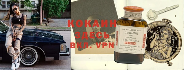 apvp Вяземский